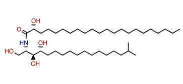 Monanchoramide B